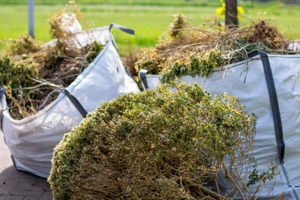 Basement Cleanout Services in Palmhurst, TX